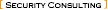 Security Consulting